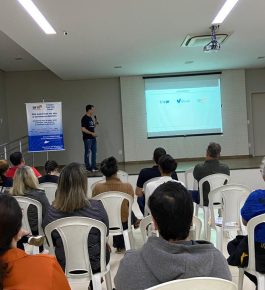 08 - Leme